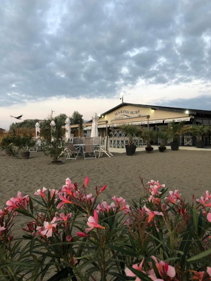 Marina Surf Năvodari Exterior foto