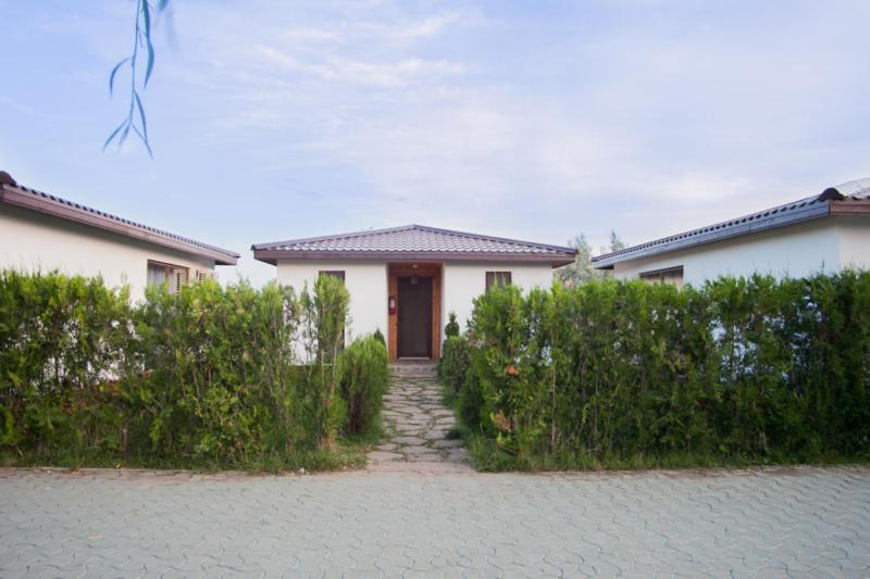 Marina Surf Năvodari Exterior foto